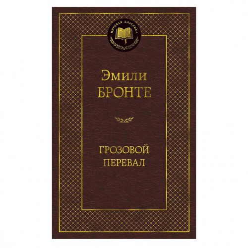 Buch эмили бронте - Эмили,